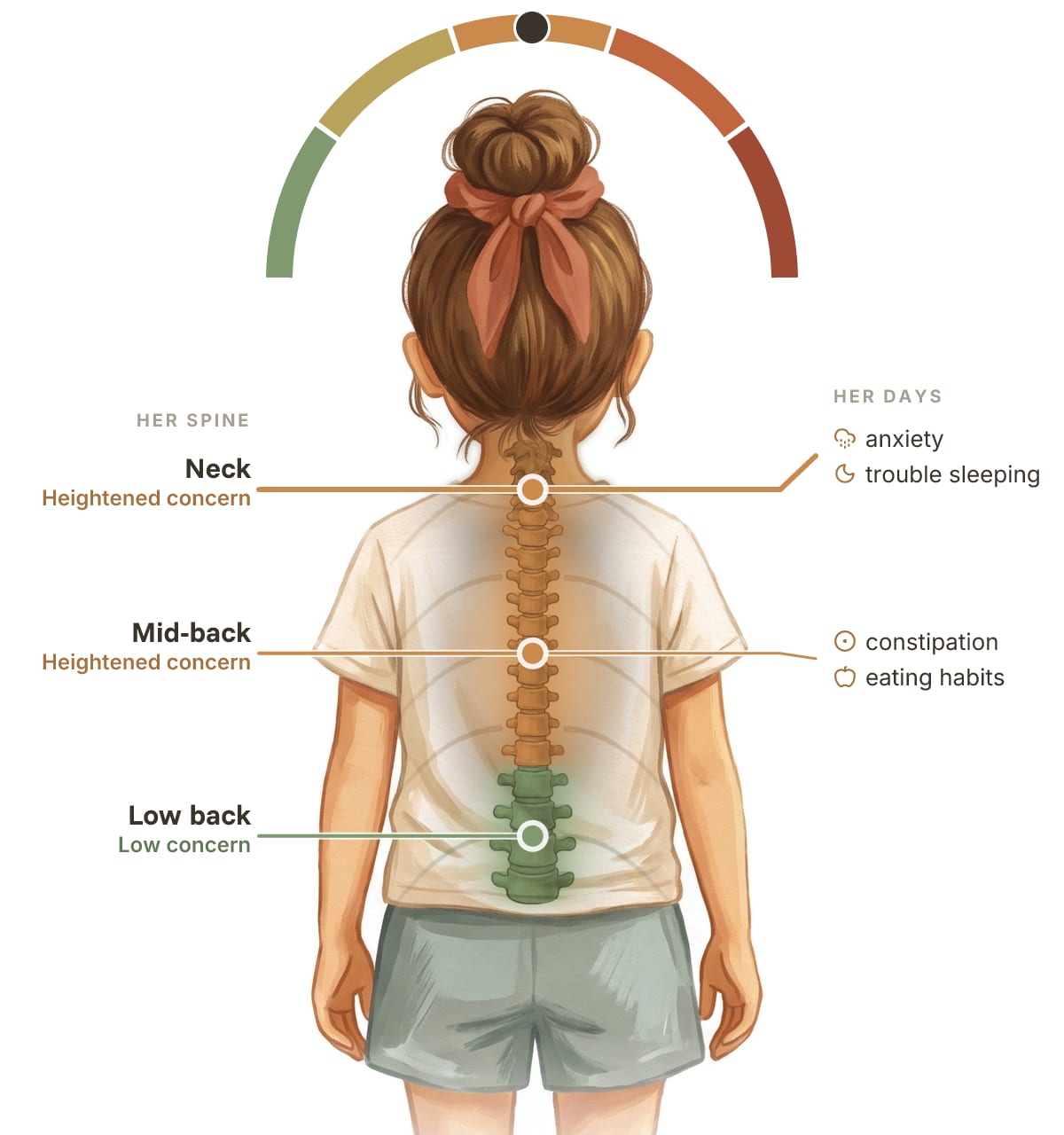 Emma's spine. Neck: heightened concern (anxiety, trouble sleeping). Mid-back: heightened concern (constipation, eating habits). Low back: low concern.